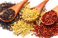 Black, red and white quinoa grains in a wooden spoon isolated on white background. Chenopodium quinoa Royalty Free Stock Photo