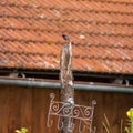 A black redstart stands on top of a tree trunk Royalty Free Stock Photo