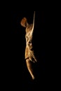 Black rhino stands side-lit staring towards camera