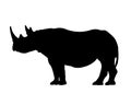 black rhinoceros icon in safari.