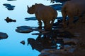 Black rhinoceros silhouette and reflection at waterhole during b
