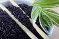 Black rice