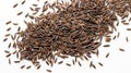 Black rice grains on white background. Top view. Wild rice texture. Suitable for food and nutrition related content