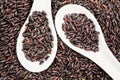 Black rice texture and spoons Royalty Free Stock Photo