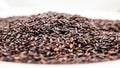Black rice texture Royalty Free Stock Photo