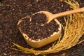 Black rice in wooden bowl and paddy rice Royalty Free Stock Photo