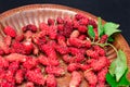 Black ripe and red unripe mulberries on copper metal plate ,.fresh mulberry provides fiber and nutrients highly beneficial. Royalty Free Stock Photo