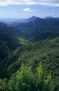 Black river gorge Mauritius Island