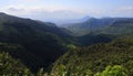 Black River Gorges National Park Mauritius Royalty Free Stock Photo