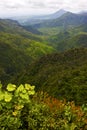 Black river mountain in mauritius Royalty Free Stock Photo