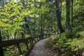 Black river national forest in Michigan upper peninsula Royalty Free Stock Photo