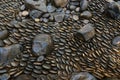 Black river stones in different shapes background and texture