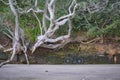 Black road bicycle on New Zealand beach