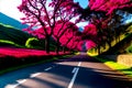 A black road both sides is surround by pink flower trees in a hilly area. Royalty Free Stock Photo