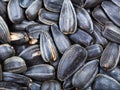 Black roasted sunflower seeds close up Royalty Free Stock Photo