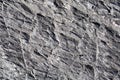 Black rock background texture near Tofino, British Columbi Royalty Free Stock Photo