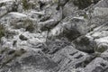 Dark gray grunge. Mountain texture. Close-up, Volumetric, rocky backdrop, copy space Royalty Free Stock Photo