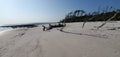 Black Rocks Beach at Big Talbot State Park in Jacksonville Florida Royalty Free Stock Photo