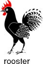 Black rooster with red comb Royalty Free Stock Photo