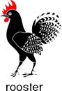 Black rooster with red comb