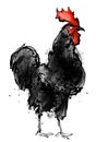 Black rooster with a red crest