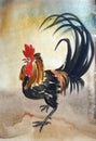 Black rooster with red feathers