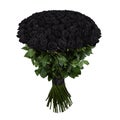 Black rose. Isolated large bouquet of 101 rose on white Royalty Free Stock Photo