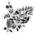 Black rose vector on white. Detailed hand-drawn roses.