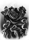 Black rose in black and white Royalty Free Stock Photo