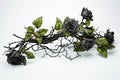 black roses. ivy, vines, thorns green leaves. white background. toxic love concept.