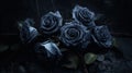 Black Roses In The Rain: Surreal And Dreamlike Wallpaper