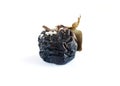 black rotten apple with mold and mold on a white background