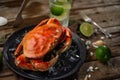 Black round plate with cooked crab served by ice cube, lime, glass with mojito and seashells on rustic wooden background. Seafood Royalty Free Stock Photo