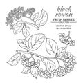 Black rowan set