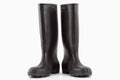 Black rubber boots Royalty Free Stock Photo