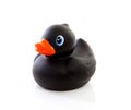 Black rubber duck