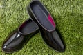 Black rubber galoshes lay on a background of green grass Royalty Free Stock Photo