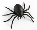 Black rubber spider toy Royalty Free Stock Photo