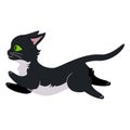 Black running cat.