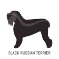 Black russian terrier. Dog, flat icon. Isolated on white background. Royalty Free Stock Photo