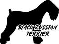 Black Russian Terrier silhouette real word Royalty Free Stock Photo