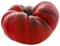 Black Russian Tomato Royalty Free Stock Photo