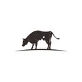 black rustic vintage illustration cow feeder cattle