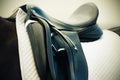 Black saddle with saddlecloth and stirrup on the back of a horse Royalty Free Stock Photo