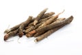 Black Salsify on white background