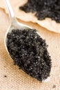 Black salt Royalty Free Stock Photo