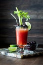 A black salted rim Caesar cocktail garnished with black olives, celery and lime. Royalty Free Stock Photo