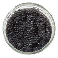 Black salty caviare of halibut fish in glass jar Royalty Free Stock Photo