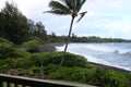 The black sand beach of Hana Bay lined with the rainforest with gentle waves rolling in in Hana, Maui, Hawaii Royalty Free Stock Photo