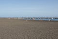 Black sand beach at La Palma, Canaries Royalty Free Stock Photo